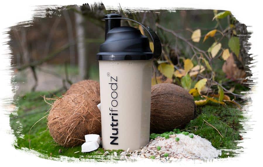 nutristef_copy_c8f8ee1b-19d7-40c7-97e9-645db03c0fa1_1200x nutristef_copy_c8f8ee1b-19d7-40c7-97e9-645db03c0fa1_1200x