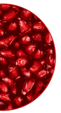 pomegranate pomegranate
