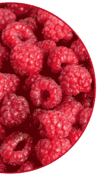 raspberry raspberry