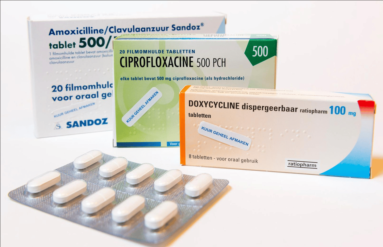 SP Probiotica 12 SP Probiotica 12