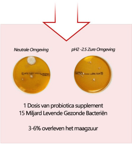 SP Probiotica 22 SP Probiotica 22