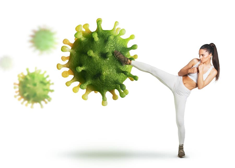 Je Darmflora en Probiotica