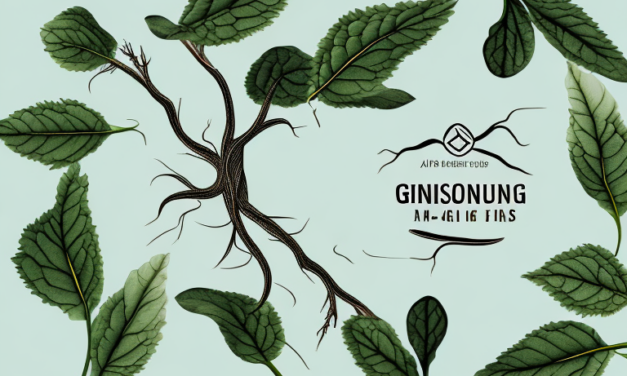 Ginseng: Wat is het, hoe werkt het en waar is het goed voor?