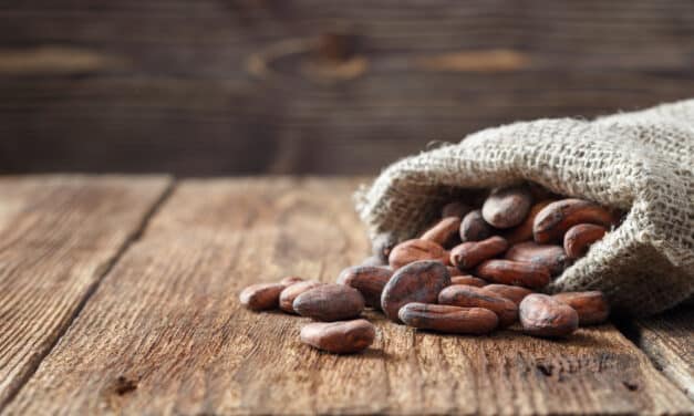 Alles wat je moet weten over cacao