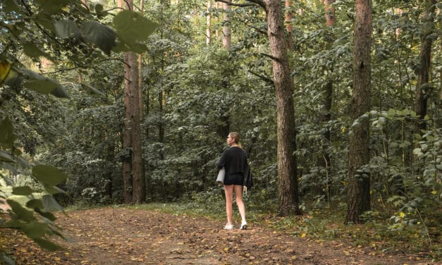 De voordelen van wandelen in het bos + de mooiste locaties in Nederland en België