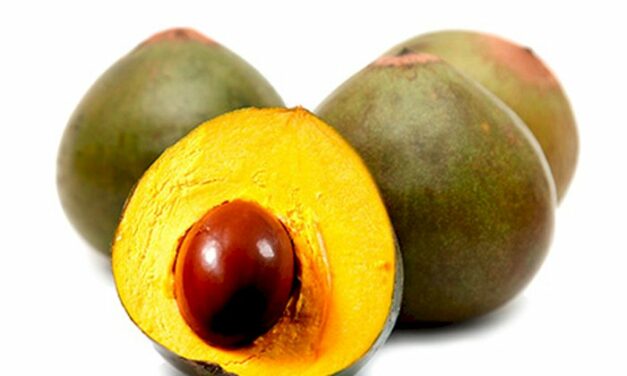 Lucuma, een diepgaande kijk op dit exotische fruit.