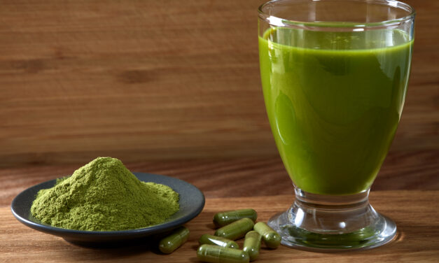 Moringa: Alles wat je moet weten over dit superfood