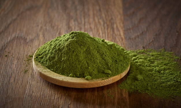 Moringa poeder: De werking, gebruikerservaringen + aankooptips