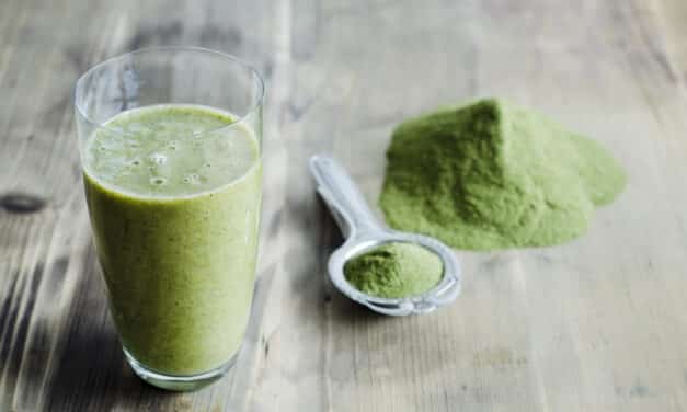 Moringa thee: Waarom iedereen over deze gezonde thee praat 