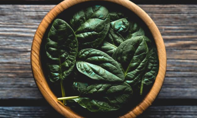 Foliumzuur: Alles wat je moet weten over deze belangrijke vitamine