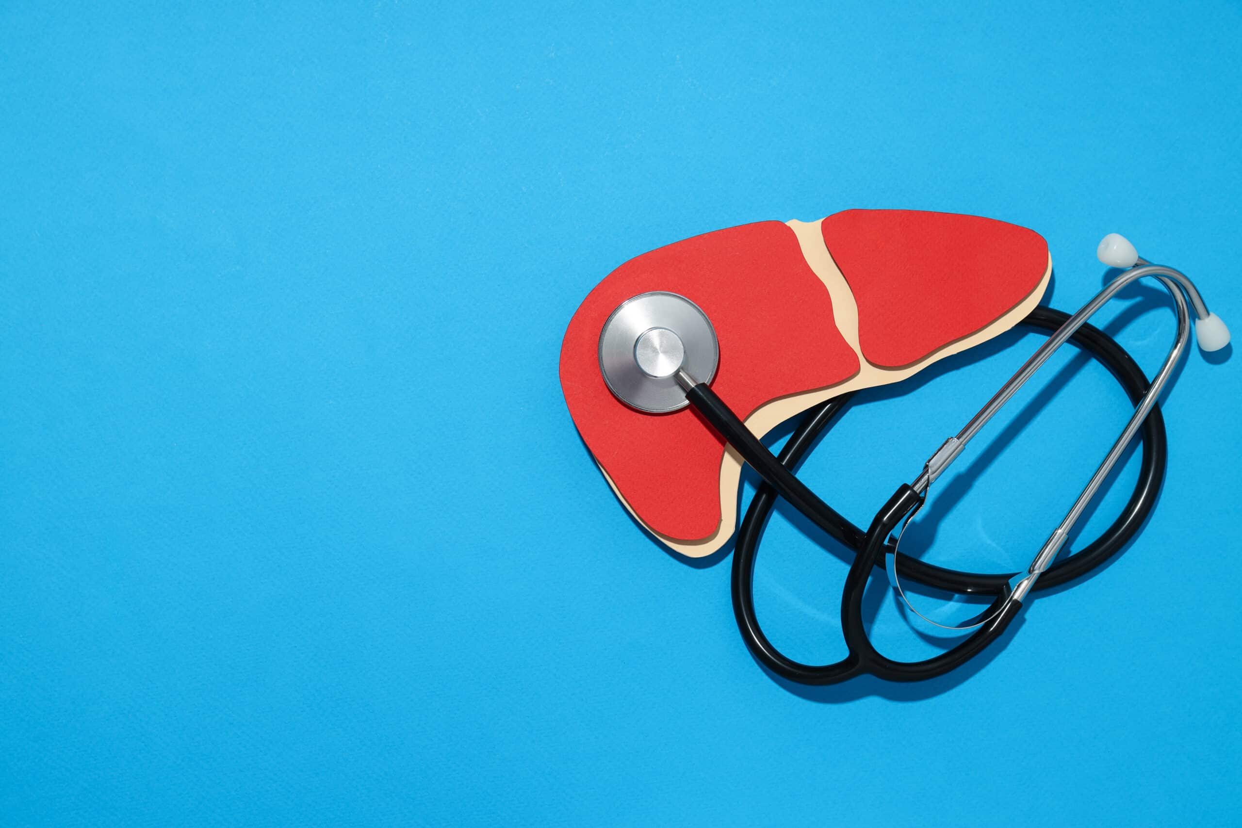 Reiniging van je lever: Feiten, mythes en wat echt werkt - Nutrifoodz