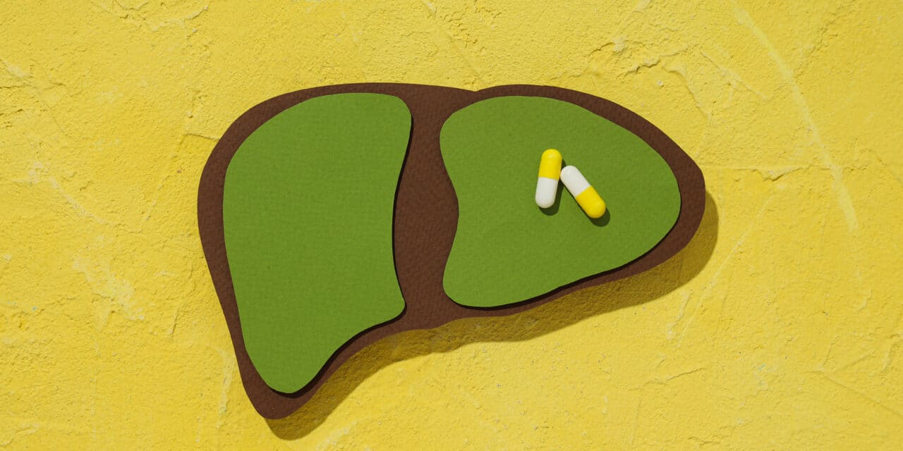 Welke supplementen zijn daadwerkelijk goed voor voor je lever? En welke kun je beter vermijden?
